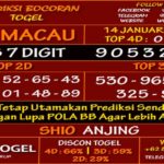 prediksi-virdsam-totomacau-14-januari-2021-alexistogel